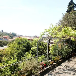 Primario Levanto